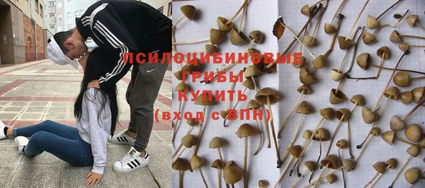 каннабис Богородицк