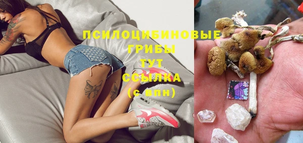 каннабис Богородицк
