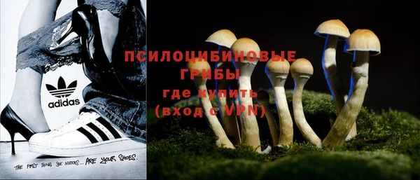 не бодяженный Богданович