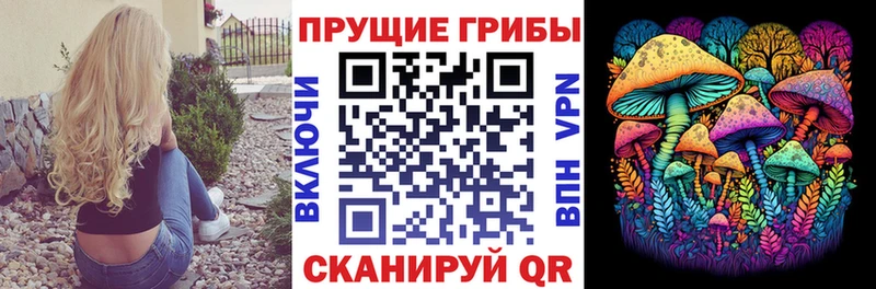 где можно купить наркотик  Щучье  Галлюциногенные грибы Psilocybine cubensis 